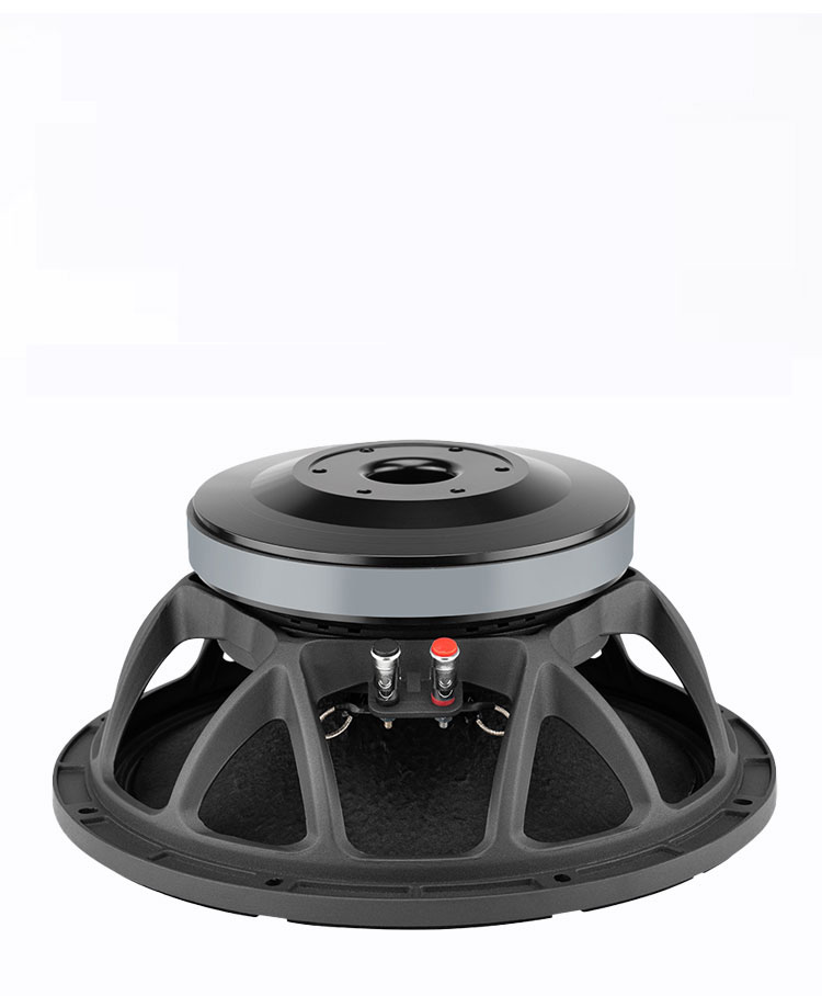 Quality Outdoor Power - Hochwertige 12-Zoll-Hochleistungs-Woofer-Lautsprecher
