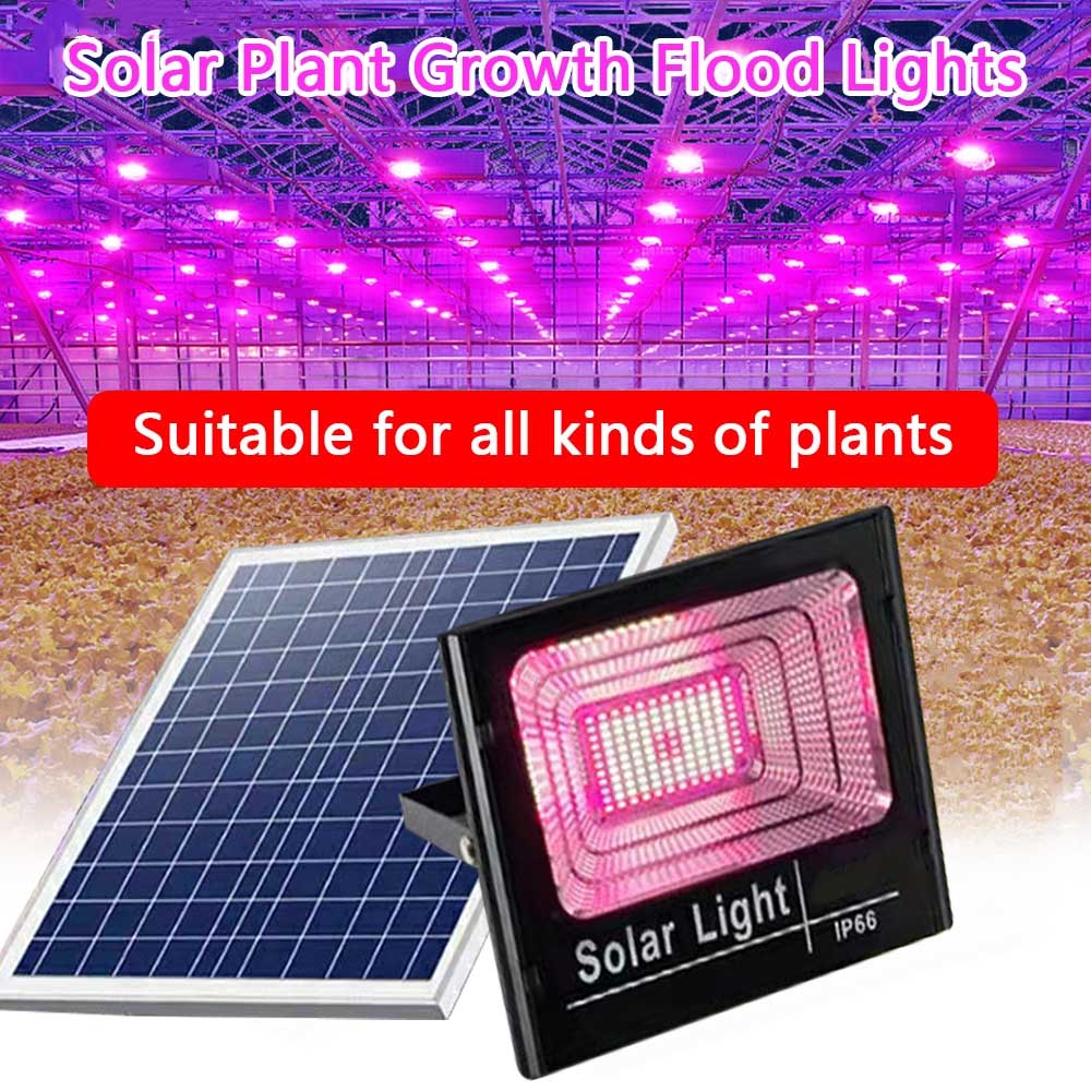 Solar LED wachsen Licht Voll s – Outdoor Power And Plant Bewertung und Preis