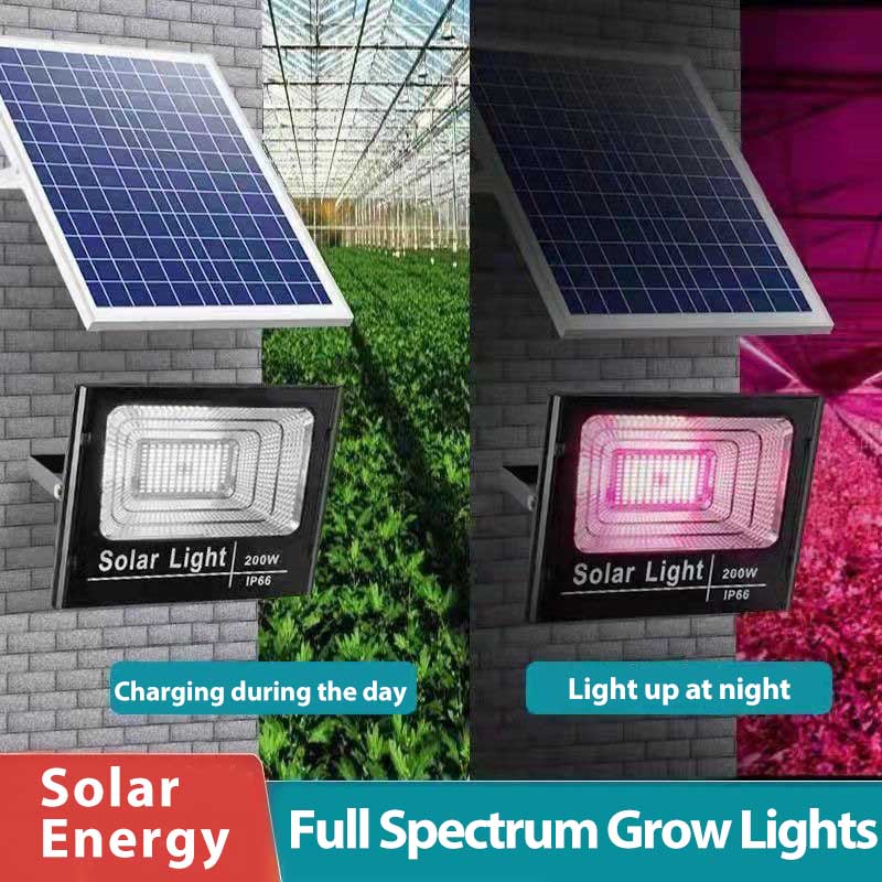 Solar LED wachsen Licht Voll s – Outdoor Power And Plant Bewertung und Preis