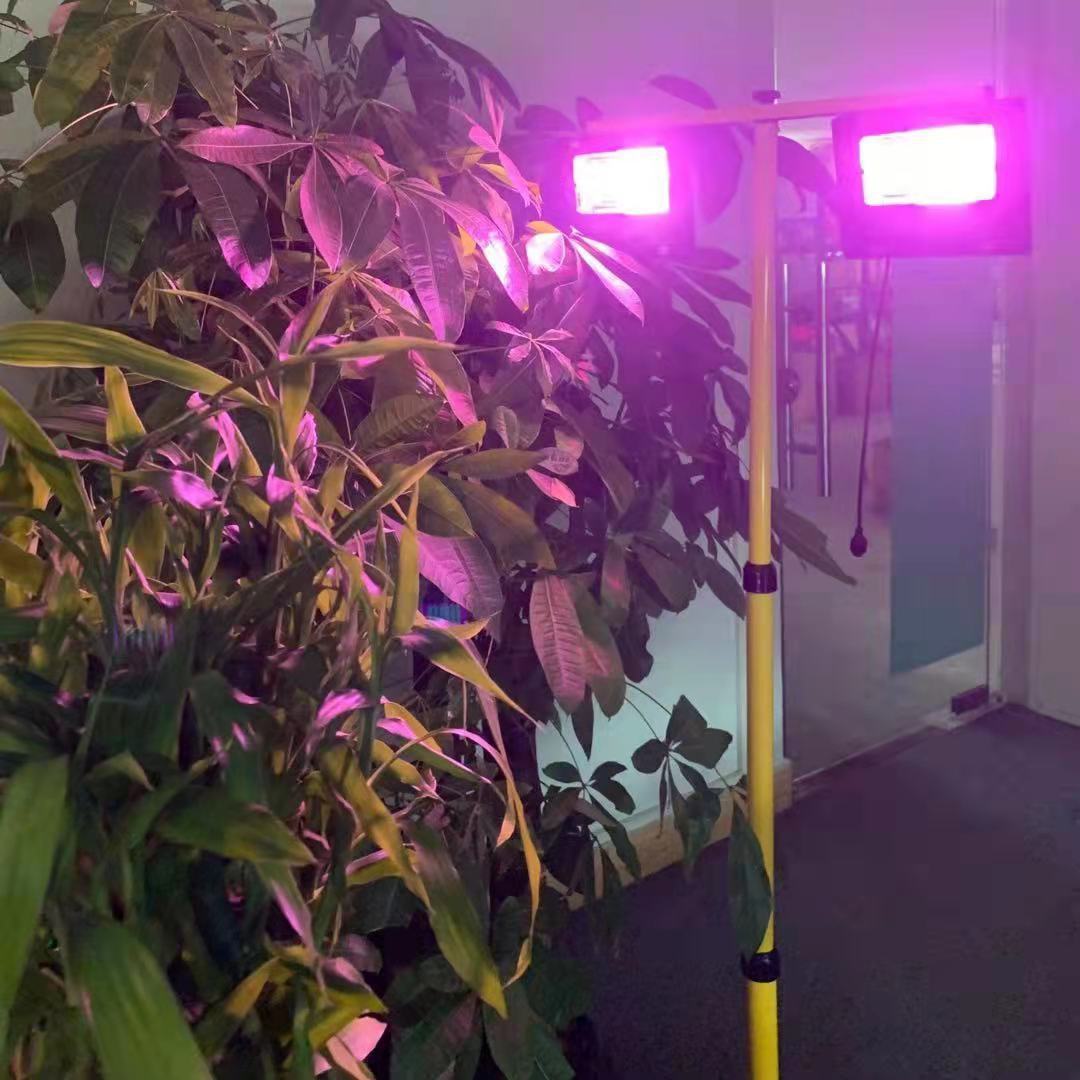 Solar LED wachsen Licht Voll s – Outdoor Power And Plant Bewertung und Preis