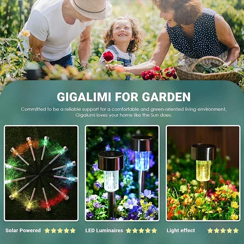 Solar-Außenleuchten, Gartenlam – Outdoor Power And Plant Bewertung und Preis