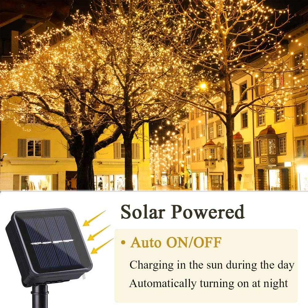 Solarbetriebene LED-Lichterket – Outdoor Power And Plant Bewertung und Preis