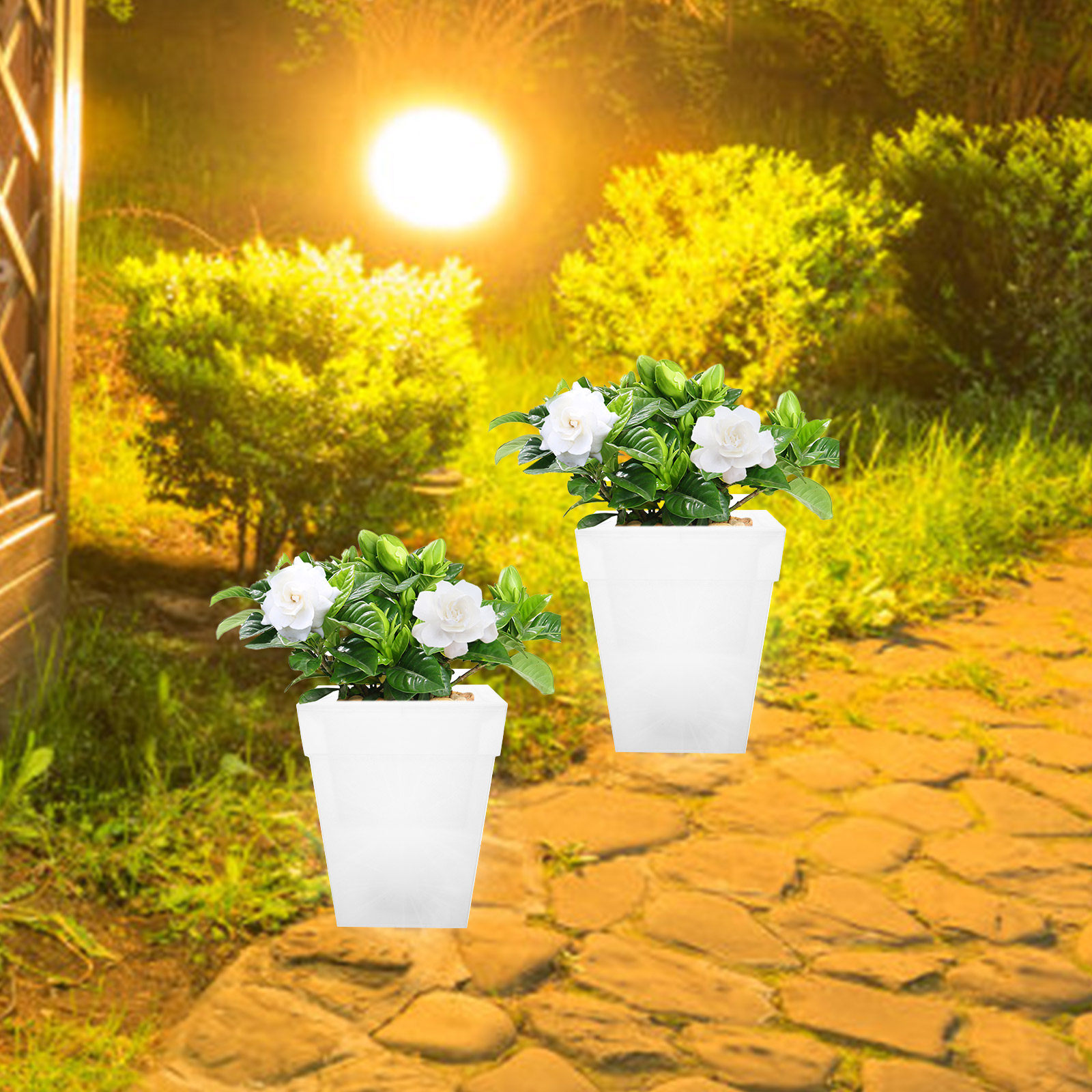 Quadratischer Blumentopf aus K – Outdoor Power And Plant Bewertung und Preis